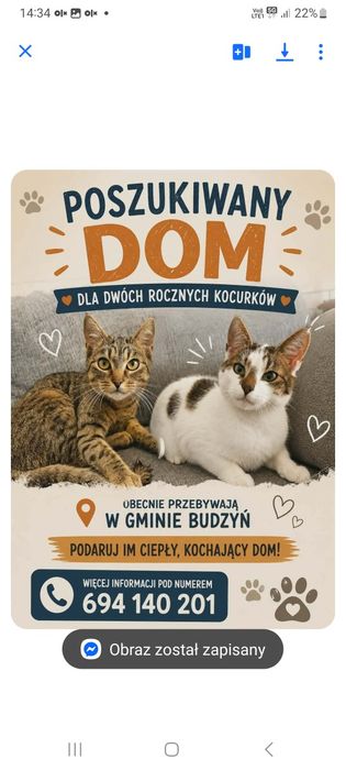Poszukiwane domy lub w wspólny