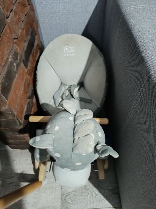 Bujak, jeździk, konik