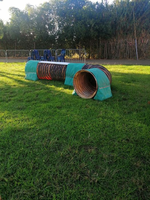 Pista completa de competição de agility