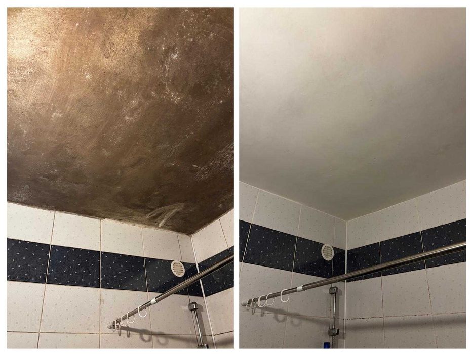 Deratyzacja Dezynsekcja Ozonowanie Odgrzybianie Fumigacja Gazowanie