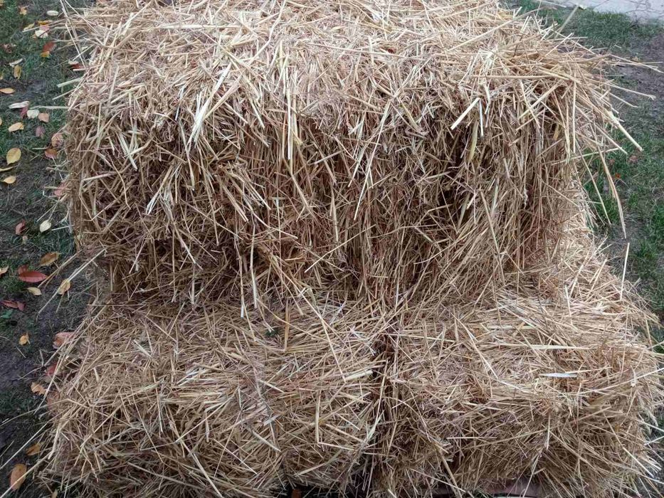 Продам тюки соломи