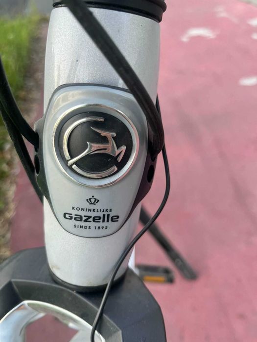 Gazelle Orange Limited Edition C8