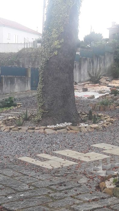 Doaçao de Madeira em Pé