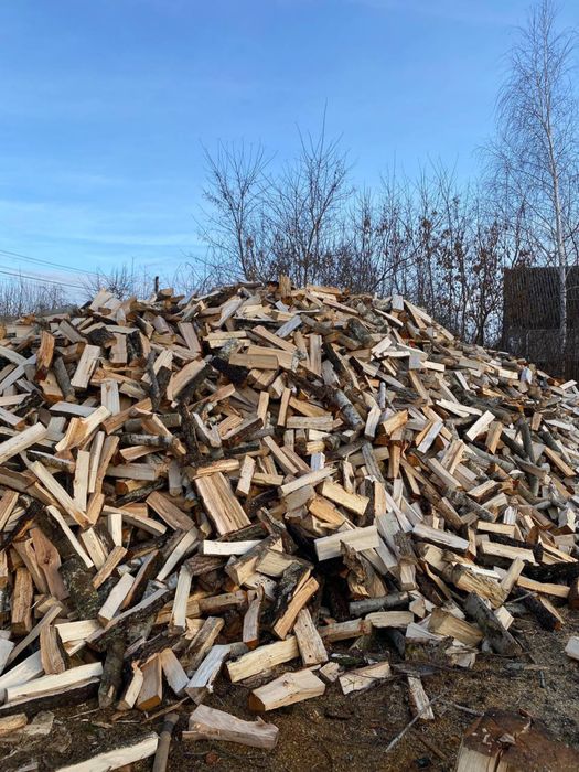 Продам дрова  вільха , береза  порубані з доставкою
