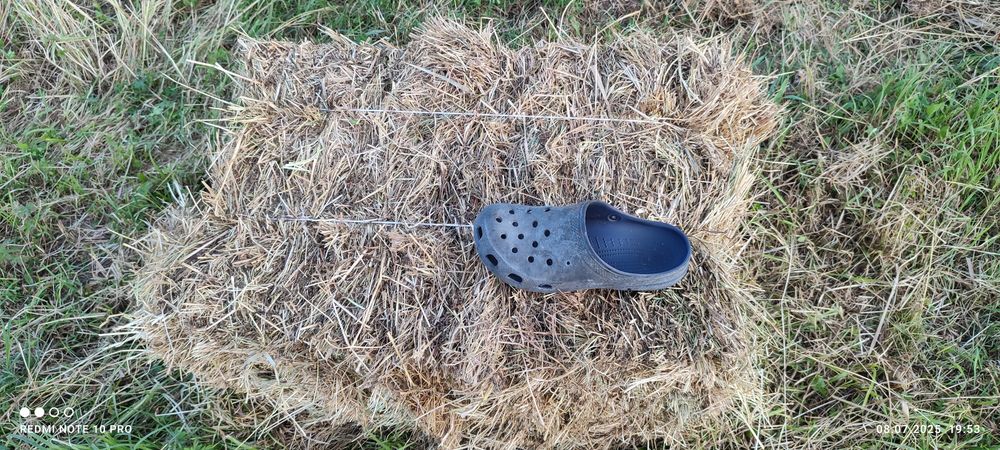 Продам сіно лугове в тюках