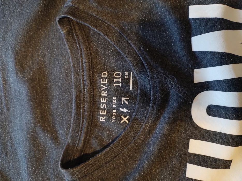 T-shirt szary chłopięcy Reserved 110cm