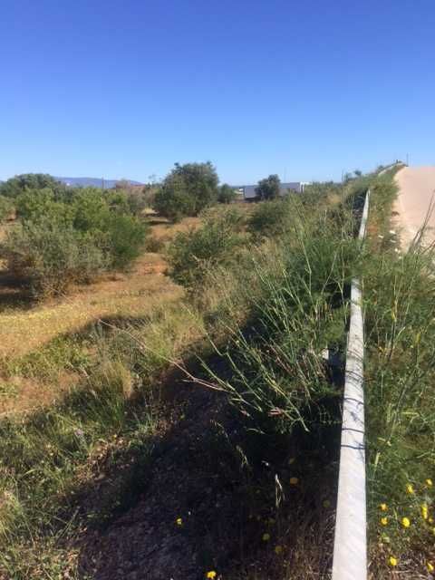 Terreno rustico para venda - A22 - Via Infante