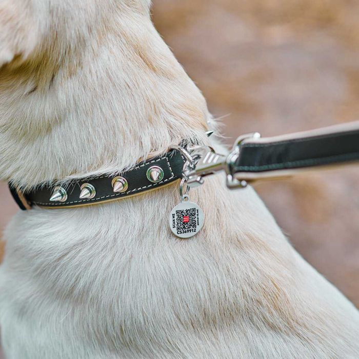 Coleiras Soft Leather WAUDOG - Simples, Picos e Bolas