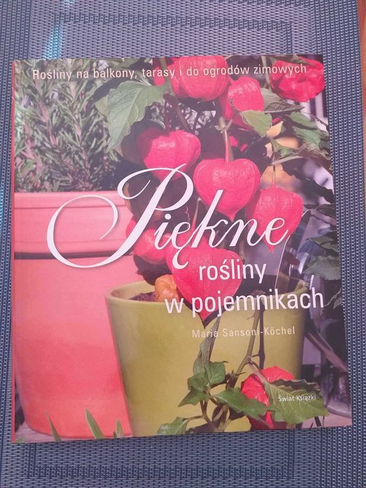 Piękne rośliny w pojemnikach Maria Sansoni-Kochel