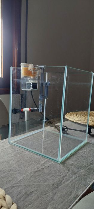 Vendo aquário + filtro