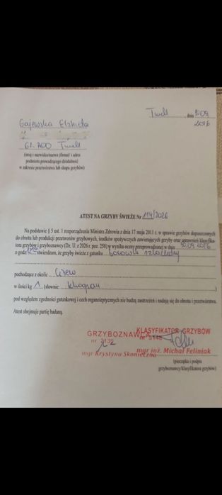 Grzyby marynowane maślak, gąski, grzyby suszone