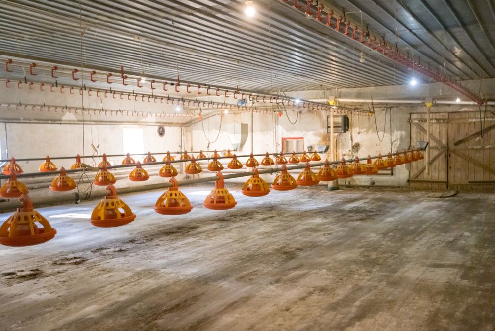 Budynek Kurnik 1600m2