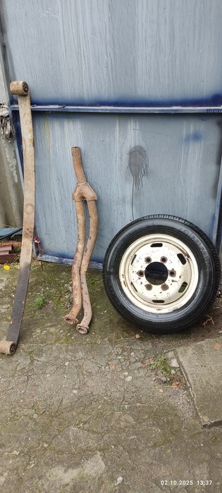 Корінні листи штани колесоГазель.