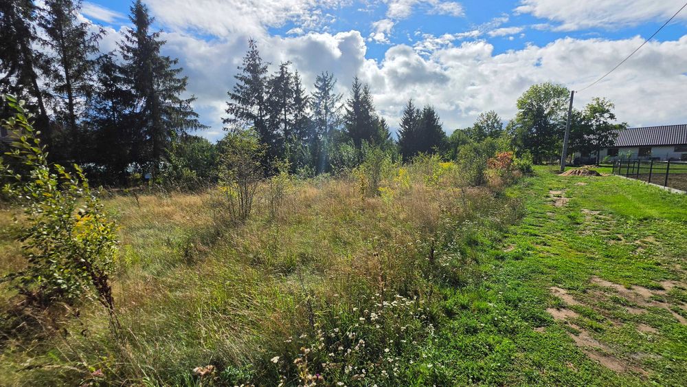 Działka budowlana TUROŚŃ KOŚCIELNA ul. JESIONOWA 750 m² - Widok 3