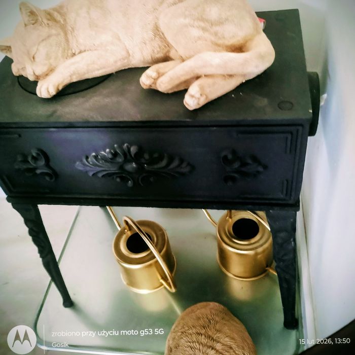 Koza.Piecyk-Cyganek.