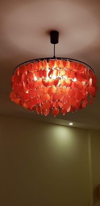 Candeeiro Gato Preto