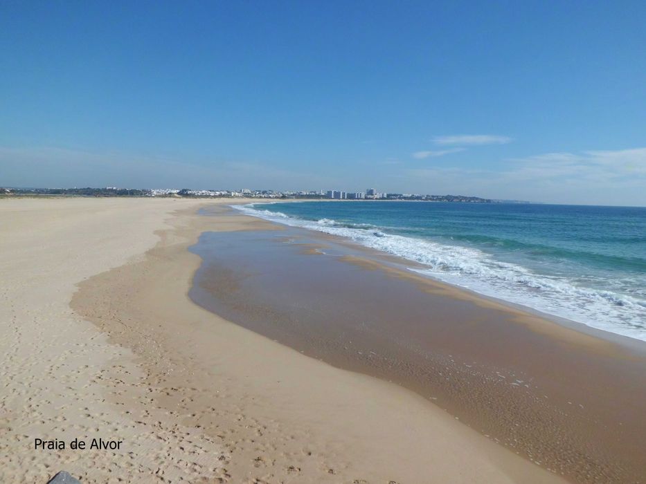 Alvor, To, na praia de Alvor, vista Sul de mar,  de 14 junho a 04 Julho