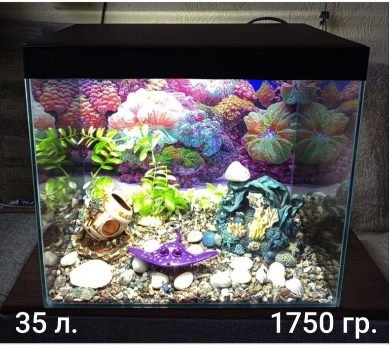 Аквариумы на любой вкус