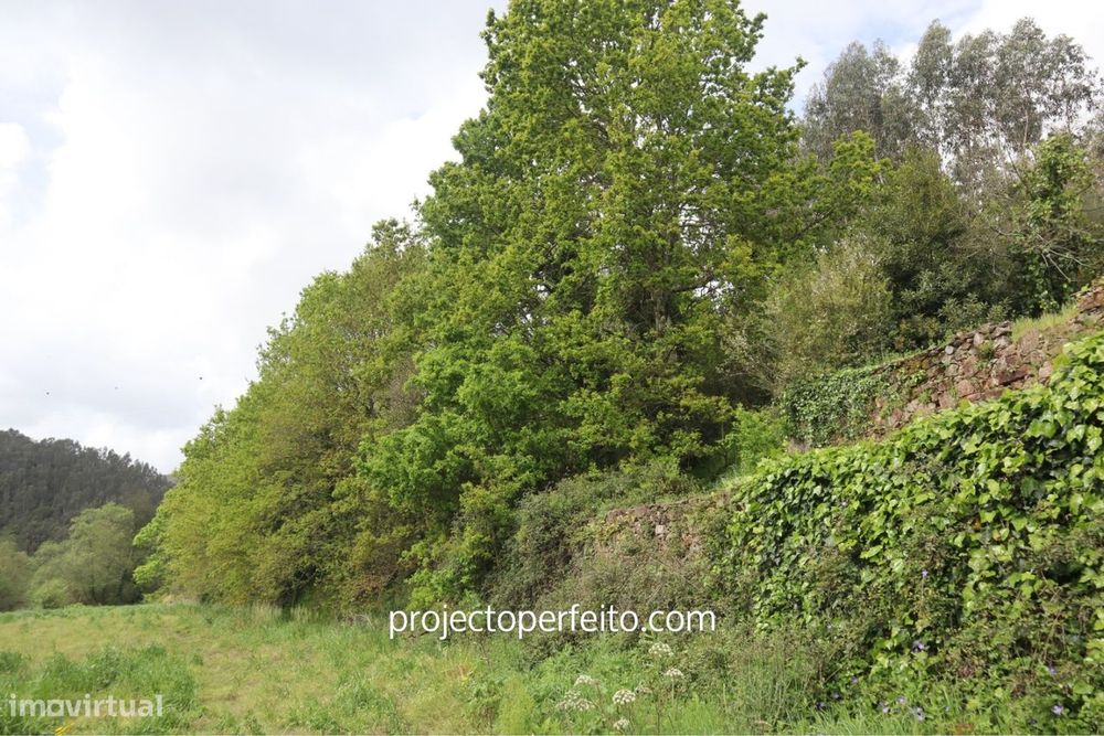 Moradia T6+ à venda em São Pedro de Castelões, Vale de Cambra — foto 8