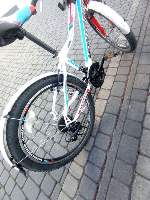 Rower 24 Monteria Junior