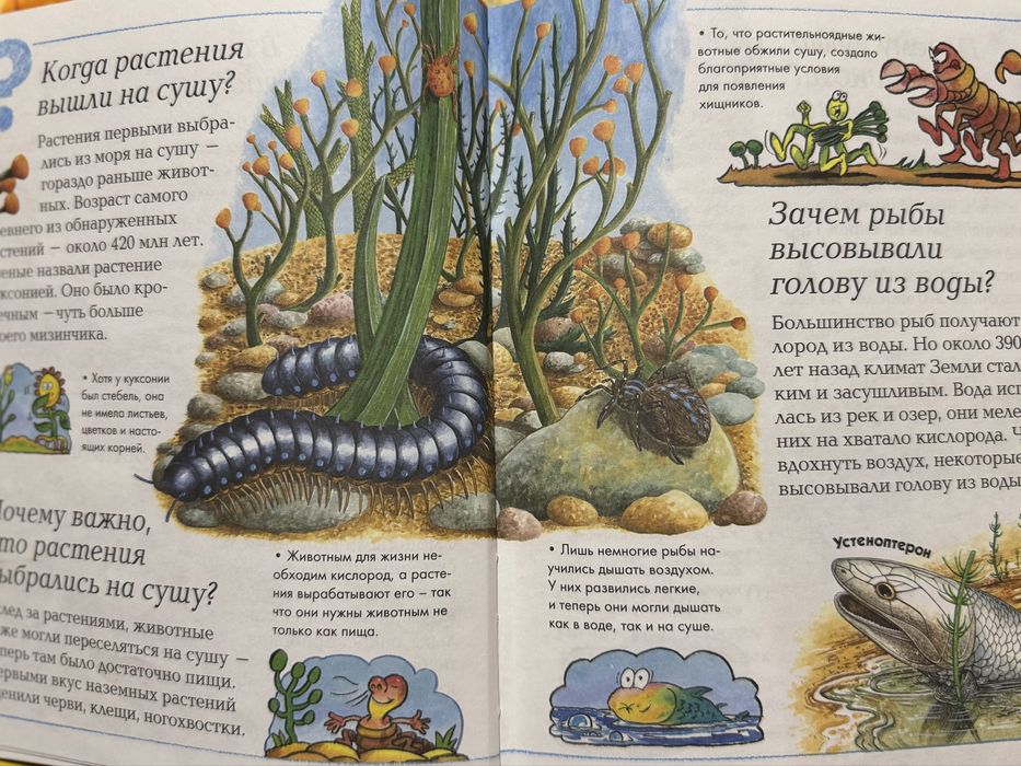 Энциклопедия  Где, что и когда?