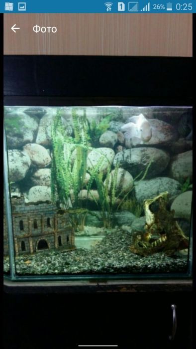 аквариум 200л крышка тумба,фильтр,грунт