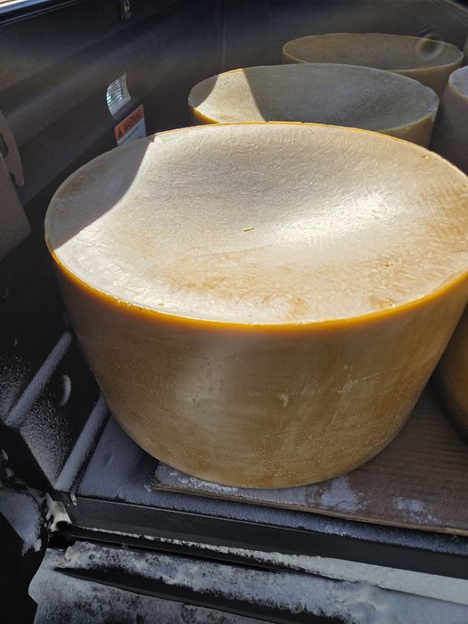 Продам віск бджолиний