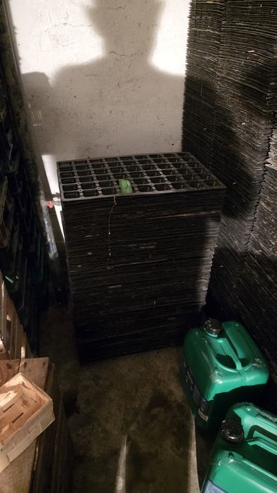 Multiplaty do truskawek 54 otwory  2,5zł za sztukę