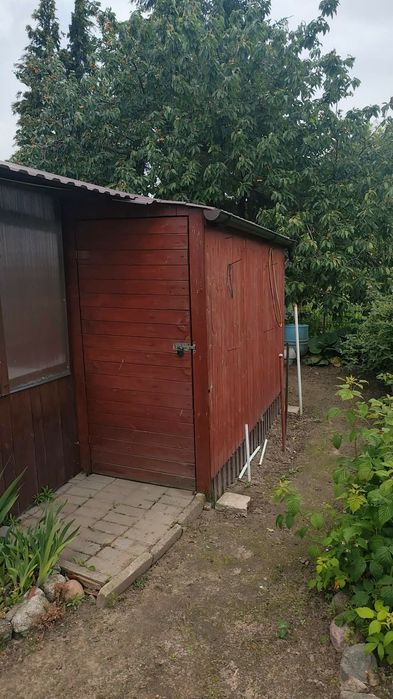 Ogród działkowy (sprzedaż prawa do użytkowania)
