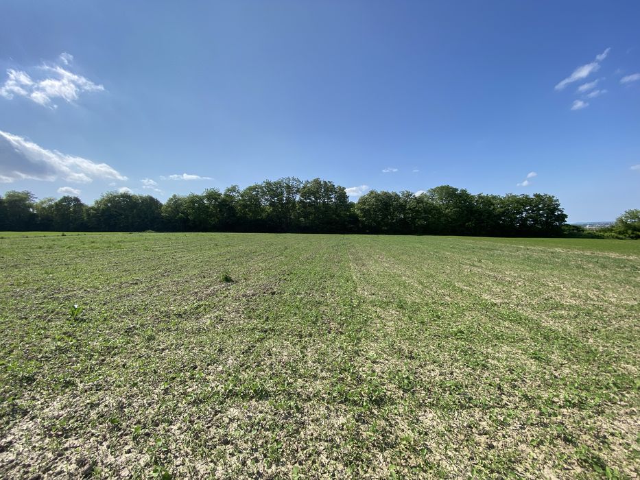 Топова земля, перша лінія, 50соток +