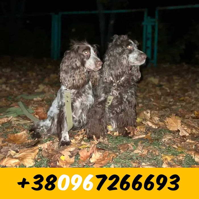 Две девочки в поисках дома (мама и дочка)