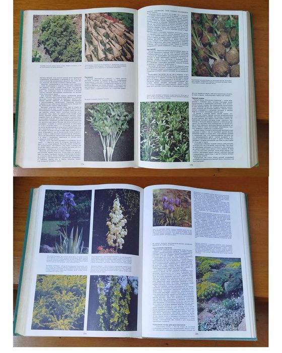 Энциклопедия садовода Артия Прага 1987 г