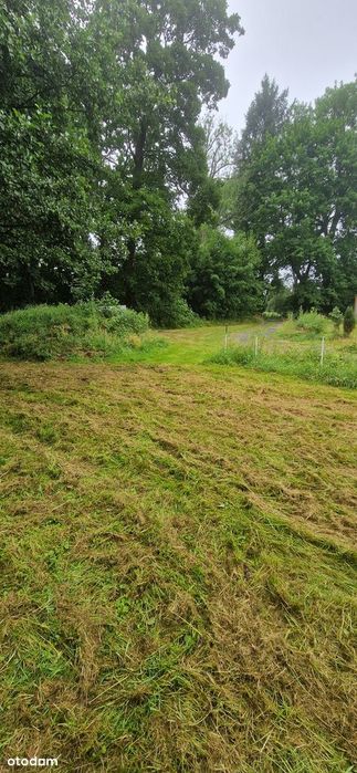Wyjątkowa Posiadłość Budowlana 5298 m² – Dom, Sauna, Eko-Ogród