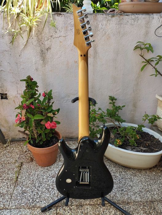 IBANEZ Ergodyne Electric Guitar / Guitarra