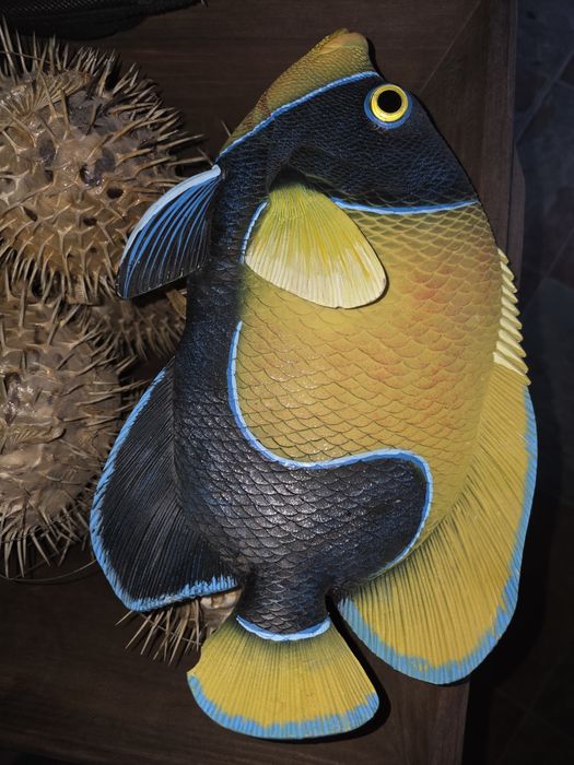 Peixe decorativo amarelo e azul pendurar na parede