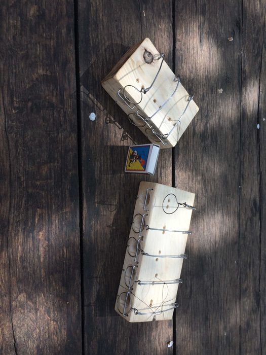 Мишоловка на три норки дуже ефективна