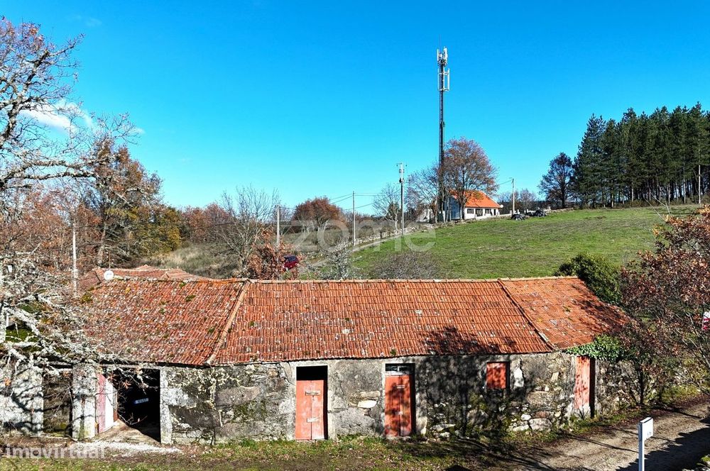 Moradia T2 em Ruína com Terreno de 8.000 m² –