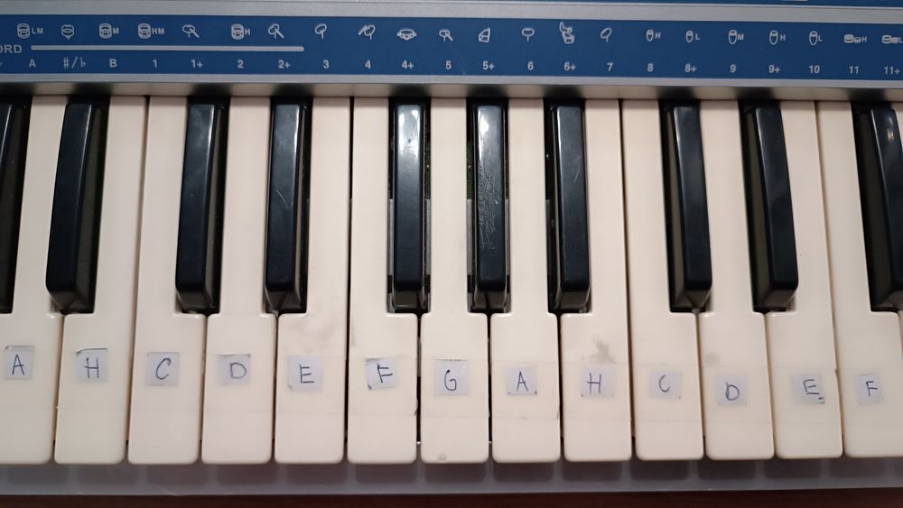 Keyboard BONTEMPI PM695