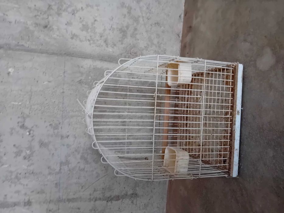 Gaiolas para ceder ou trocar por aves