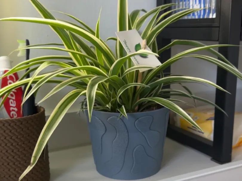 Vaso Decorativo com Detalhes Peludos