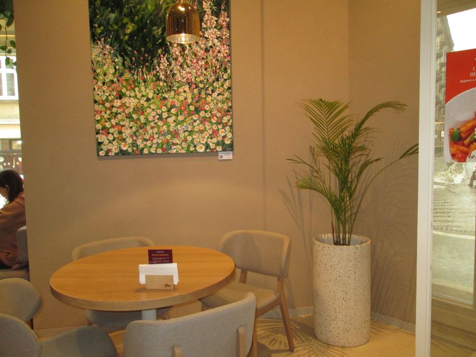 Canon a3400 сірий nikon coolpix sony cyber shot