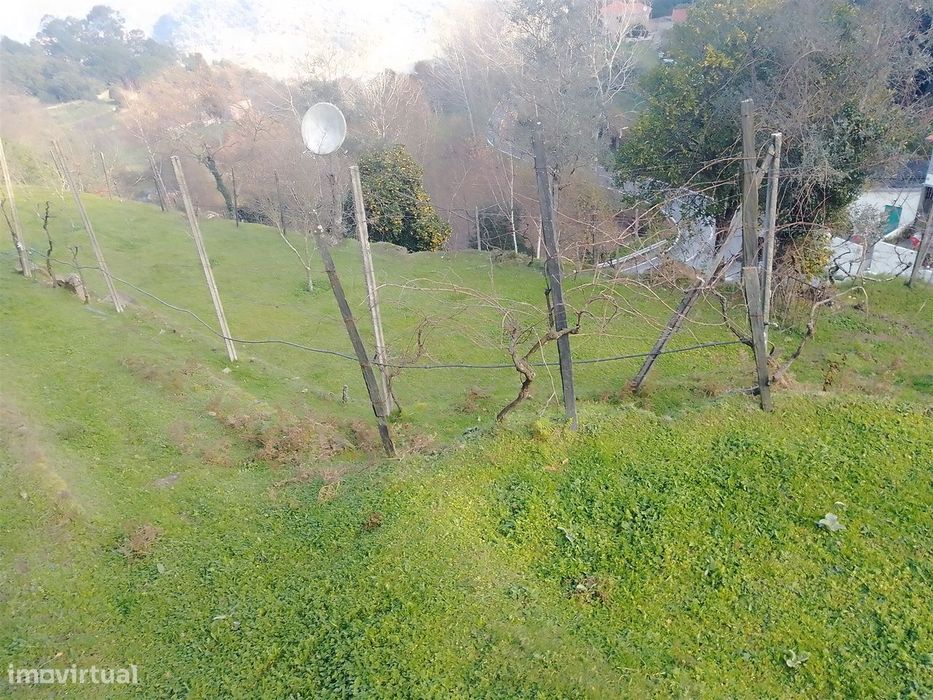 Terreno Rústico em Cinfães - Viseu Venda de Terreno em Cinfães - Viseu