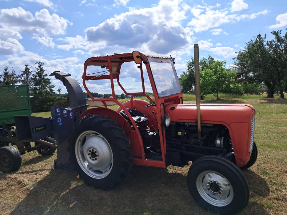 Ciagnik massey ferguson, T35, 1960rok. Import