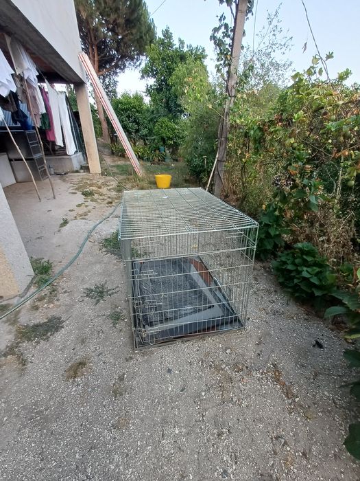 Transportadora/ jaula para caes muito grande