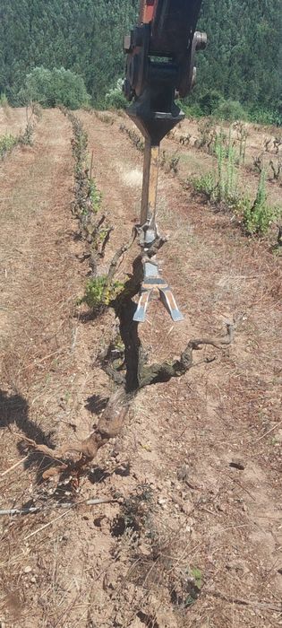 Serviço de mini giratoria - baldes e triturador ( corte erva - m