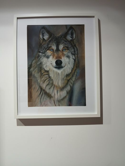 Quadros tema Animais