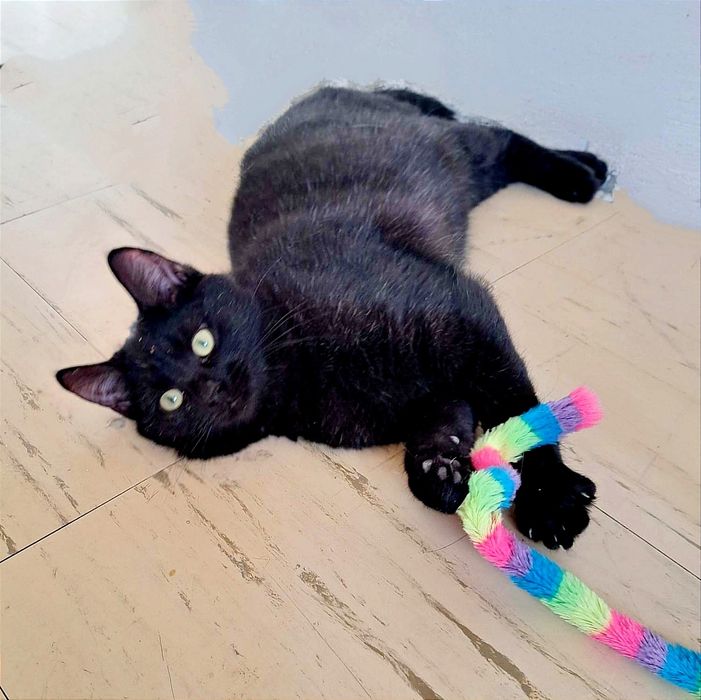 Maluchy. Chłopczyk i dziewczynka.