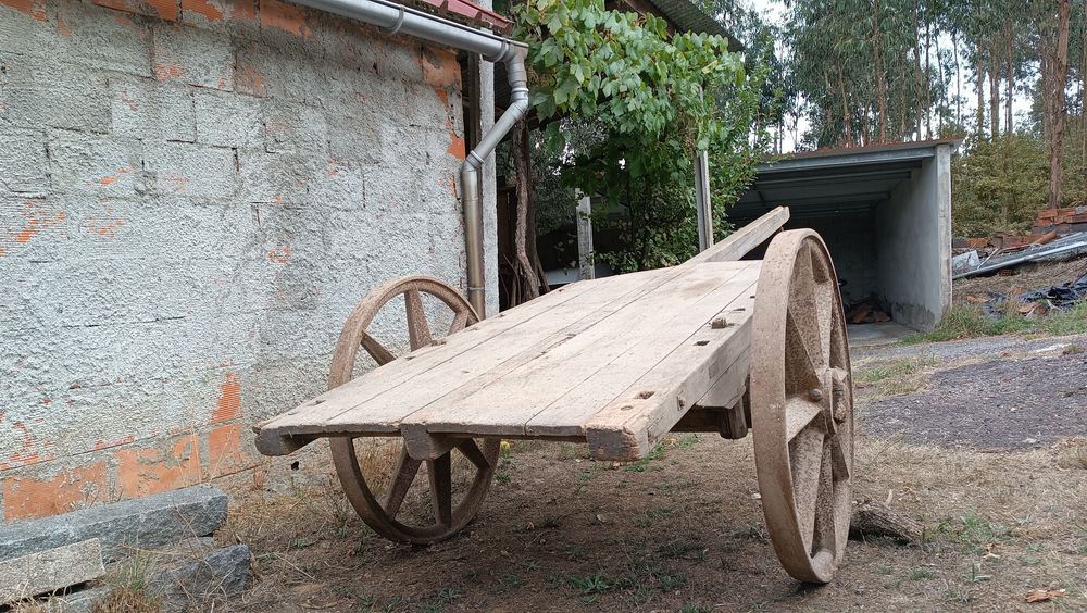 Carro de bois / vacas
