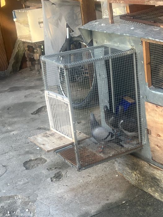 Faço pequenos biscatos de serralharia e se necesario ao domicilio na zona de felgueiras