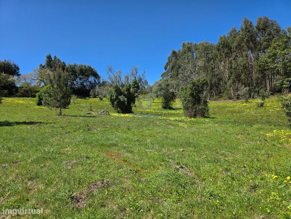 Plot of land measuring 6,703 m², with feasibility to build 1 or 2 houses up to 6,631 m² gross floor area